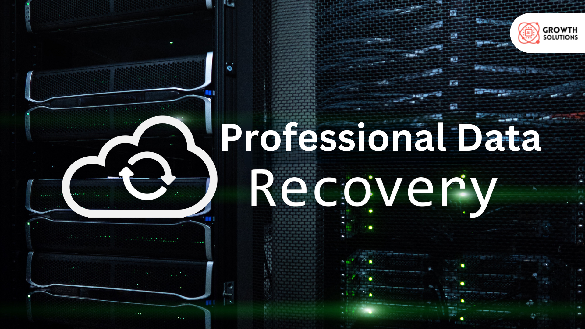 Professional Data Recovery.png